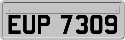 EUP7309