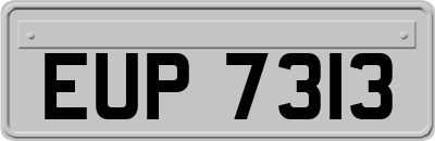 EUP7313