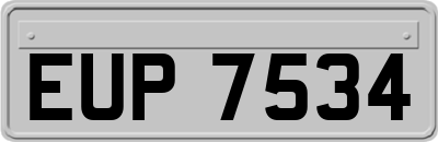 EUP7534
