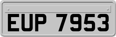 EUP7953