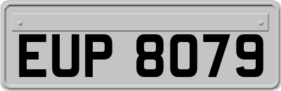EUP8079