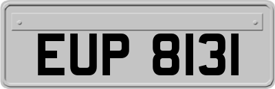 EUP8131