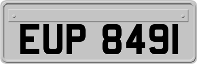 EUP8491