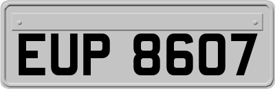 EUP8607