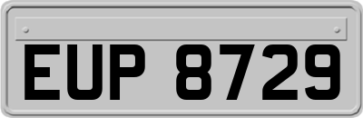 EUP8729