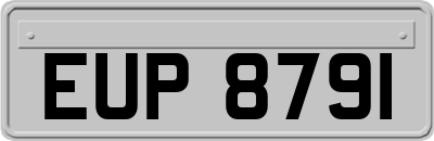 EUP8791