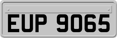 EUP9065