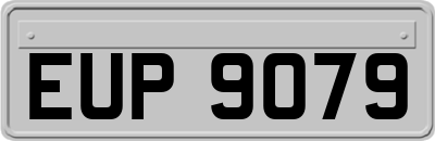 EUP9079