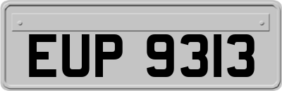 EUP9313