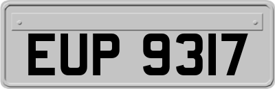 EUP9317