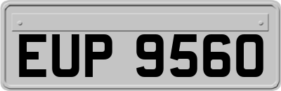 EUP9560