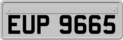 EUP9665