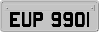 EUP9901