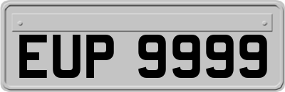 EUP9999