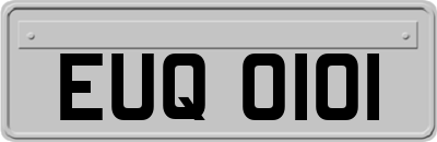 EUQ0101