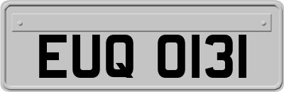 EUQ0131