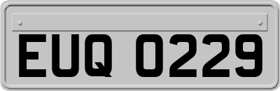 EUQ0229