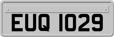EUQ1029