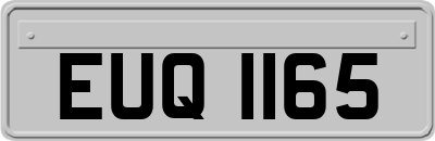 EUQ1165