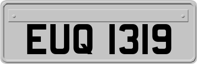 EUQ1319
