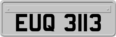 EUQ3113