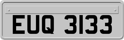 EUQ3133