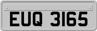 EUQ3165