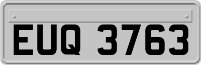 EUQ3763
