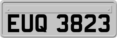 EUQ3823