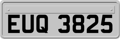 EUQ3825
