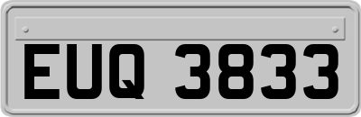 EUQ3833