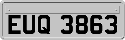 EUQ3863