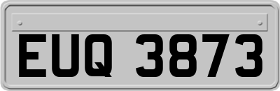 EUQ3873