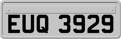 EUQ3929