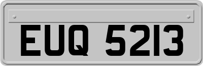 EUQ5213