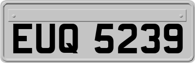 EUQ5239