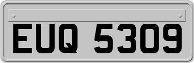 EUQ5309
