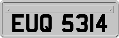 EUQ5314
