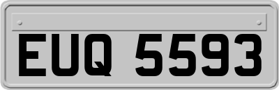 EUQ5593