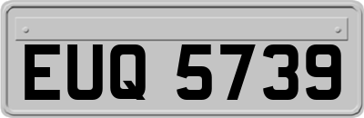 EUQ5739