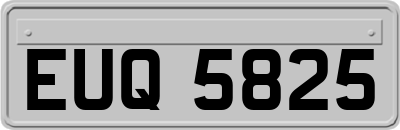 EUQ5825