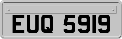EUQ5919