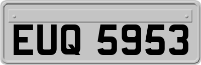 EUQ5953