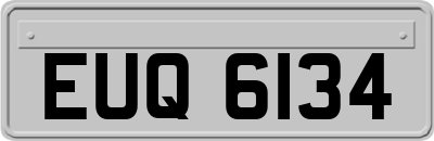 EUQ6134