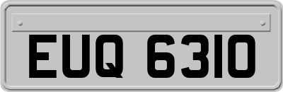 EUQ6310