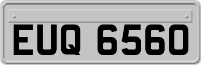 EUQ6560