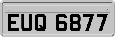EUQ6877