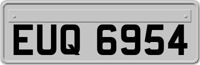 EUQ6954