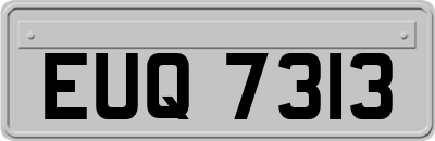 EUQ7313