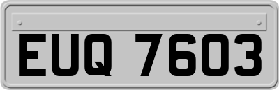 EUQ7603